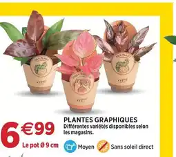 Delbard Plantes graphiques offre