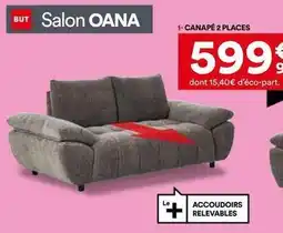 BUT Canape 2 places offre