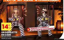 Stokomani Un squelette en cage offre