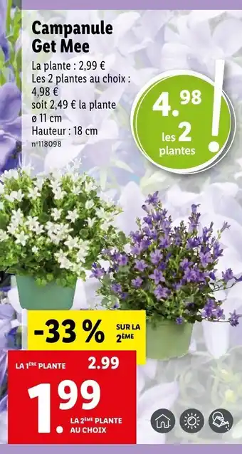 Lidl Campanule Get Mee offre
