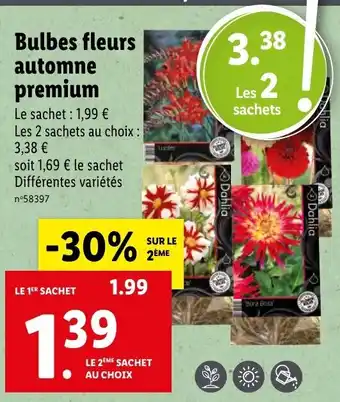 Lidl Bulbes fleurs automne premium offre