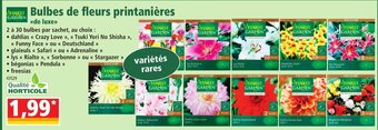 Norma Bulbes de Fleurs Printanières offre