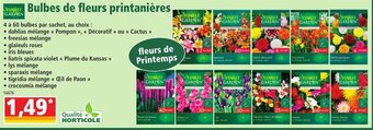 Norma Bulbes de Fleurs Printanières offre