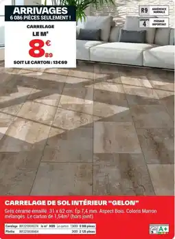 Brico Dépôt Carrelage de sol intérieur gelon offre