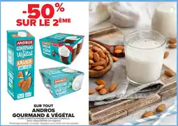 Carrefour Market Andros gourmand & végétal offre