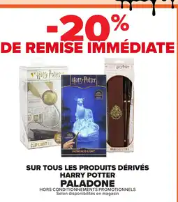 Carrefour Harry Potter Clip Light offre