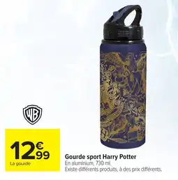 Carrefour Market Harry Potter Gourde sport offre
