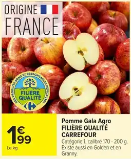 Carrefour Pomme Gala Agro offre