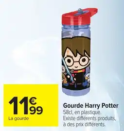 Carrefour Harry Potter Gourde offre