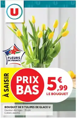 Super U TULIPES DE GLACE U offre