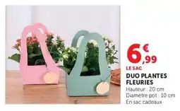 Hyper U LE SAC DUO PLANTES FLEURIES offre