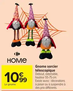 Carrefour HOME Gnome sorcier télescopique offre