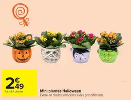 Carrefour Mini plantes Halloween offre