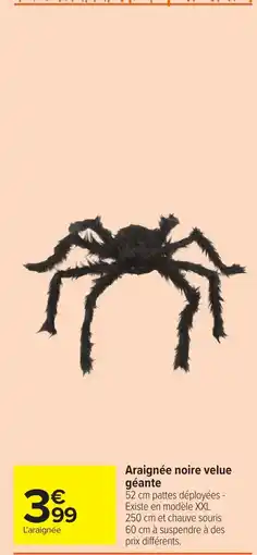 Carrefour L'araignée Araignée noire velue géante offre