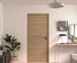 Brico Dépôt Bloc-porte barbade 73cm offre