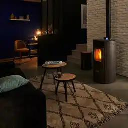 Brico Dépôt Poêle à granulés 8,7 kw elipse 12c gris offre