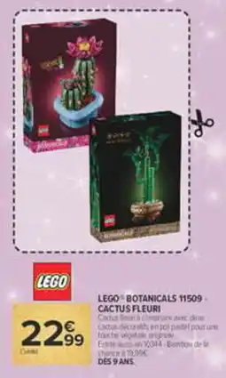 Carrefour Lego botanicals cactus fleuri offre