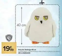 Carrefour Warner Bros Hedwige offre