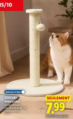 Lidl ZOOFA RI Arbre à chat offre