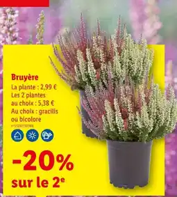 Lidl Bruyère offre