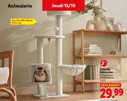 Lidl ZOOFARI Arbre à chat offre