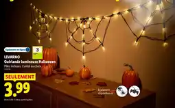 Lidl LIVARNO Guirlande lumineuse Halloween offre