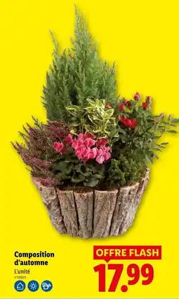Lidl Composition d'automne offre