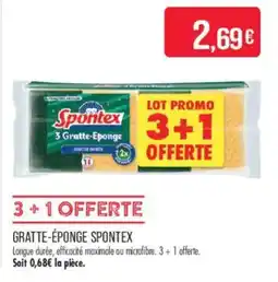 Match Spontex Gratte-Éponge offre