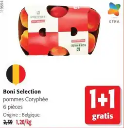 Colruyt Coryphée pommes offre