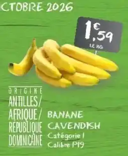 G20 BANANE CAVENDISH offre