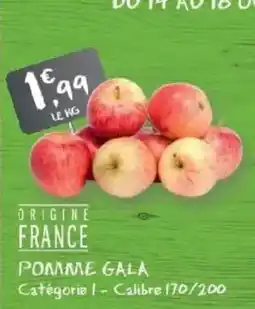 G20 POMME GALA offre