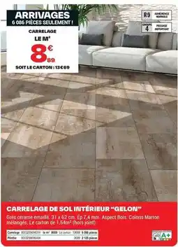 Brico Dépôt Carrelage de sol intérieur gelon offre