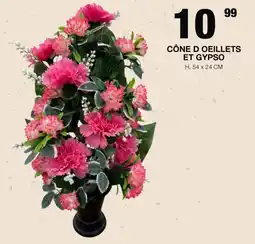 Marché aux Affaires CÔNE D OEILLETS ET GYPSo offre