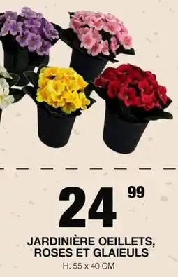 Marché aux Affaires JARDINIÈRE OEILLETS, ROSES ET GLAIEULS offre