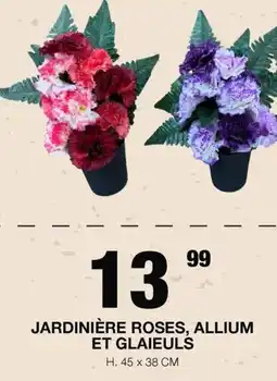 Marché aux Affaires JARDINIÈRE ROSES, ALLIUM ET GLAIEULS offre