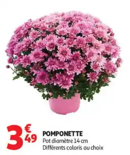 Auchan POMPONETTE offre