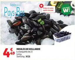 Auchan MOULES DE HOLLANDE offre