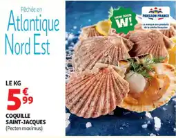Auchan Pavillon France Coquille Saint-Jacques offre