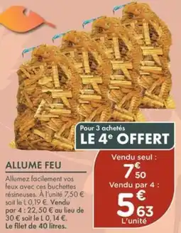 Point Vert ALLUME FEU offre