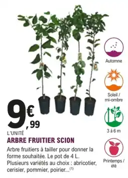 E.Leclerc Jardi ARBRE FRUITIER SCION offre