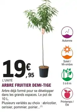 E.Leclerc Jardi ARBRE FRUITIER DEMI-TIGE offre