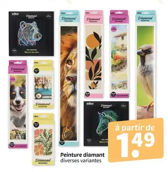 Wibra Diamond Painting
