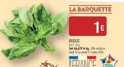 Match Cat - basilic offre
