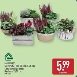 ALDI GARDENLINE COMPOSITION DE TOUSSAINT offre