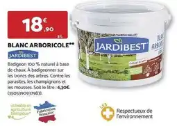Bricomarché Blanc arboricole offre
