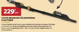 Bricomarché Fiskars - coupe-branches télescopique à batterie offre