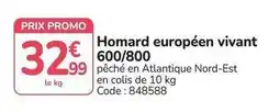 Promocash Promo - homard européen vivant 600/800 offre