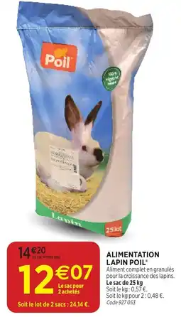 RAGT Jardin & Maison Poil Lapin offre