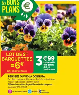 RAGT Jardin & Maison PENSÉES OU VIOLA CORNUTA offre