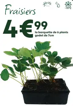 Ma Jardinerie Fraisier offre